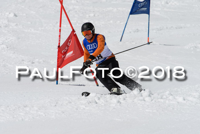 Ski Golf Masters 2018, Riesenslalom