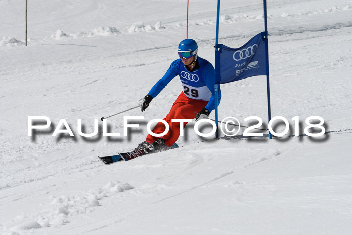 Ski Golf Masters 2018, Riesenslalom