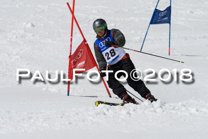 Ski Golf Masters 2018, Riesenslalom