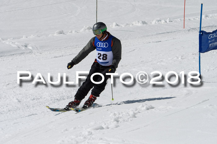 Ski Golf Masters 2018, Riesenslalom