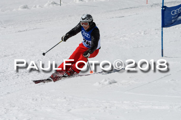 Ski Golf Masters 2018, Riesenslalom