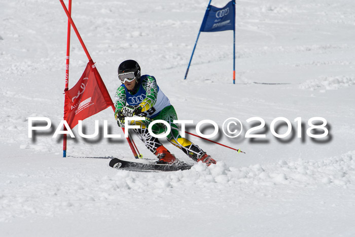 Ski Golf Masters 2018, Riesenslalom