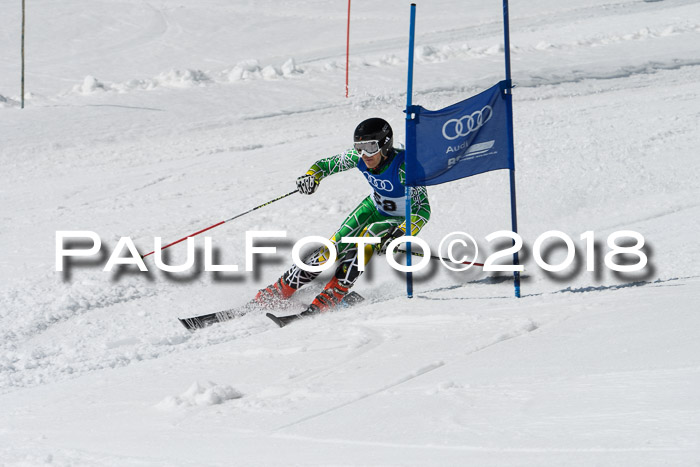 Ski Golf Masters 2018, Riesenslalom