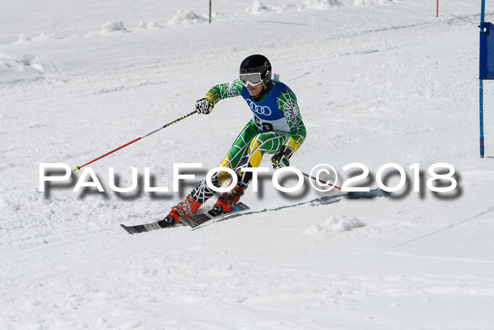 Ski Golf Masters 2018, Riesenslalom