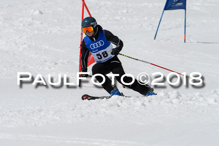 Ski Golf Masters 2018, Riesenslalom