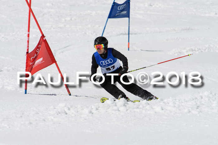 Ski Golf Masters 2018, Riesenslalom