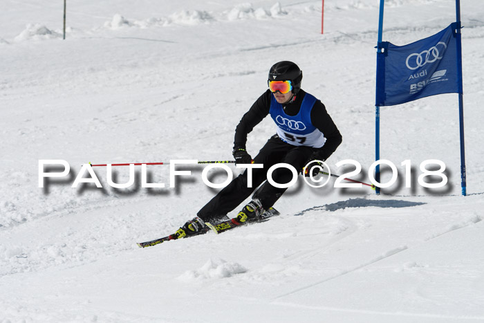 Ski Golf Masters 2018, Riesenslalom