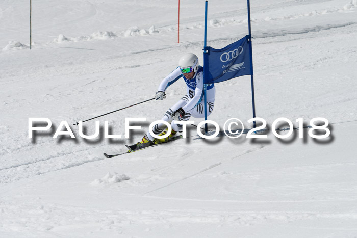 Ski Golf Masters 2018, Riesenslalom