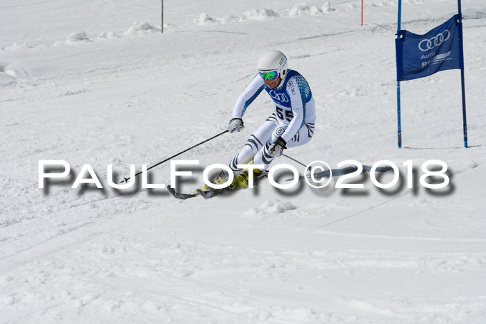 Ski Golf Masters 2018, Riesenslalom