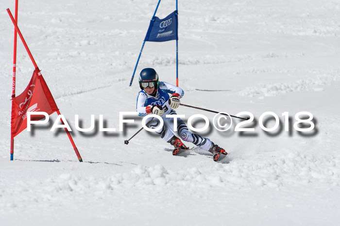 Ski Golf Masters 2018, Riesenslalom