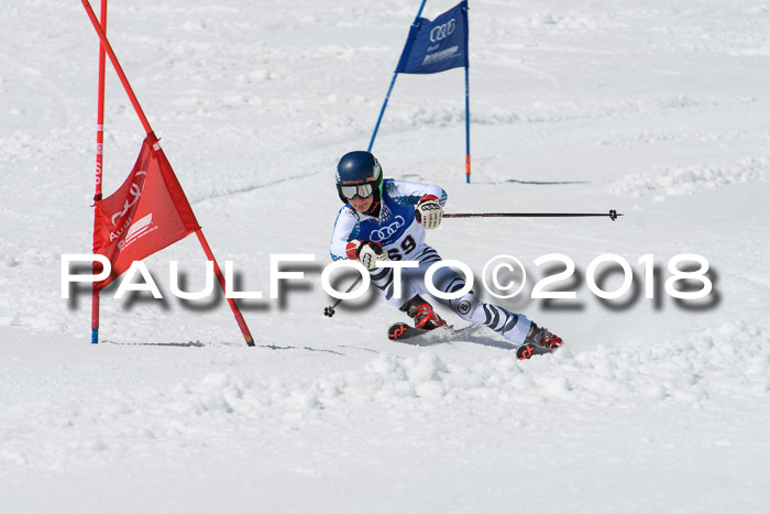 Ski Golf Masters 2018, Riesenslalom