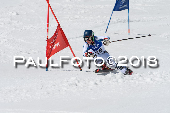 Ski Golf Masters 2018, Riesenslalom