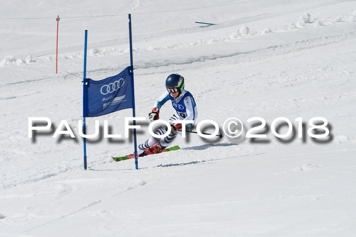 Ski Golf Masters 2018, Riesenslalom