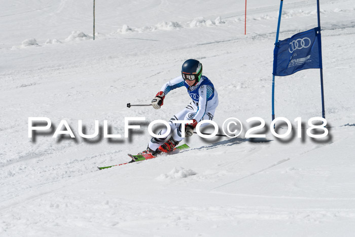 Ski Golf Masters 2018, Riesenslalom