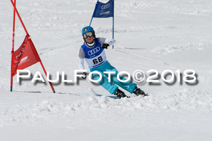 Ski Golf Masters 2018, Riesenslalom