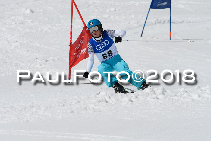 Ski Golf Masters 2018, Riesenslalom