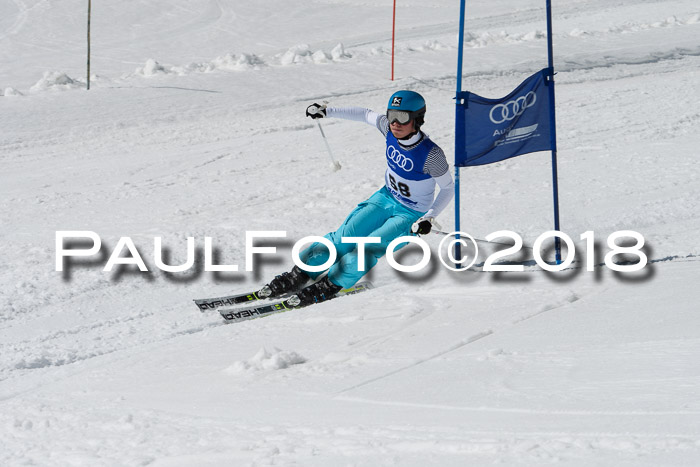 Ski Golf Masters 2018, Riesenslalom