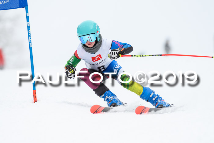 Werdenfelser Kinderskitag. mit Ziener und BZB Cup 2019