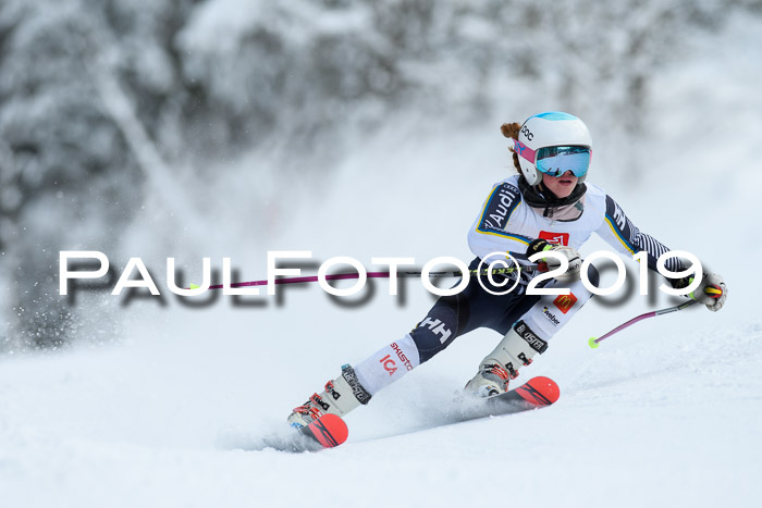 Werdenfelser Kinderskitag. mit Ziener und BZB Cup 2019