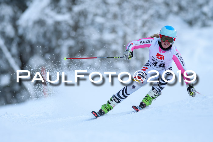 Werdenfelser Kinderskitag. mit Ziener und BZB Cup 2019