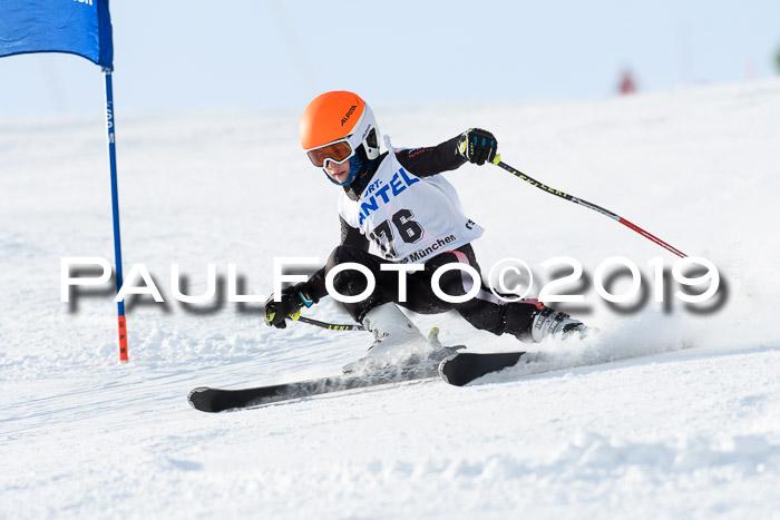 SVM U8, U10, U12, SechzgerPokal 2019