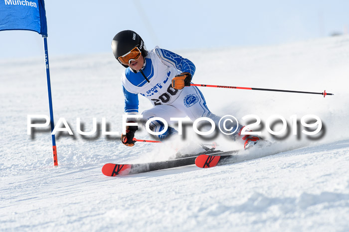 SVM U8, U10, U12, SechzgerPokal 2019