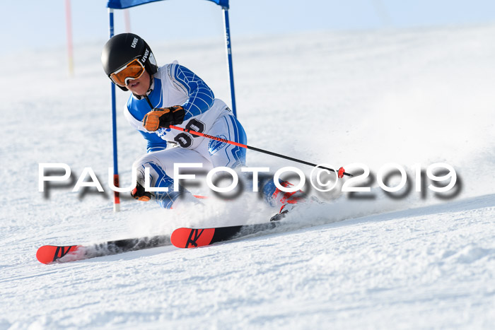 SVM U8, U10, U12, SechzgerPokal 2019