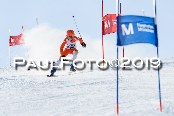 SVM U8, U10, U12, SechzgerPokal 2019