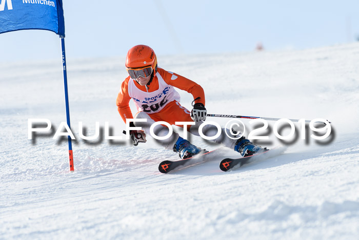 SVM U8, U10, U12, SechzgerPokal 2019