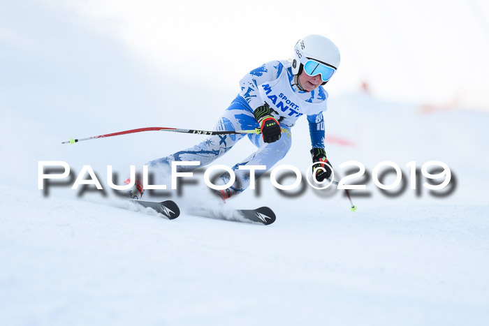 SVM U8, U10, U12, SechzgerPokal 2019