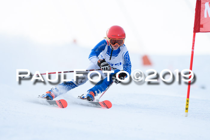 SVM U8, U10, U12, SechzgerPokal 2019