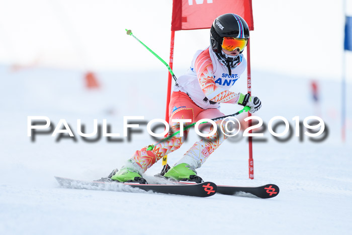 SVM U8, U10, U12, SechzgerPokal 2019