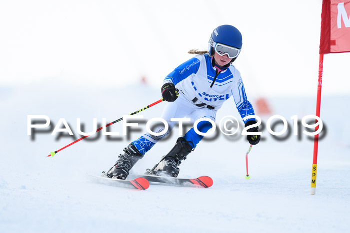 SVM U8, U10, U12, SechzgerPokal 2019