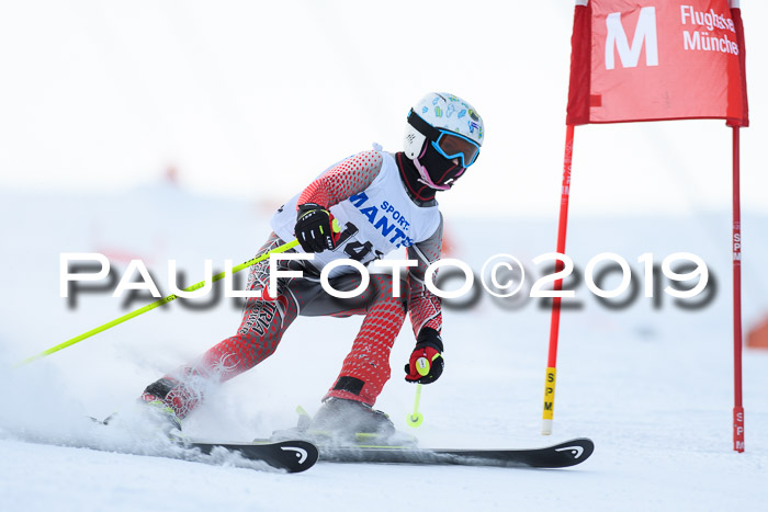 SVM U8, U10, U12, SechzgerPokal 2019