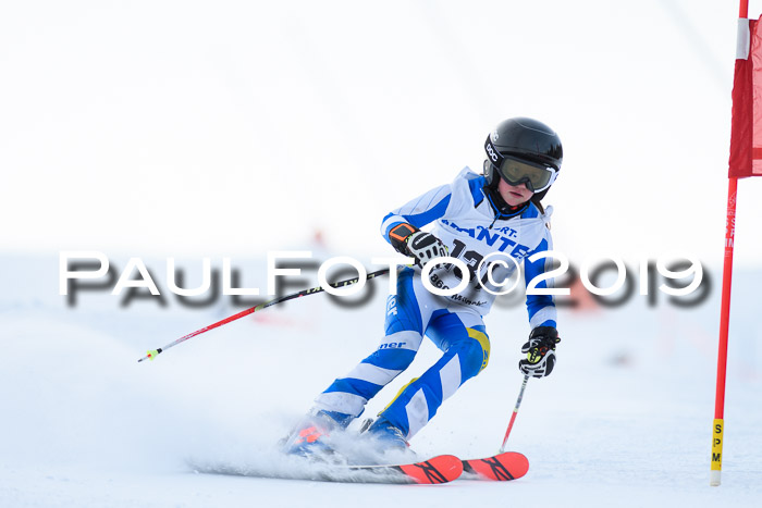 SVM U8, U10, U12, SechzgerPokal 2019