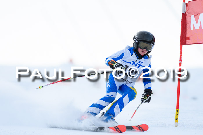 SVM U8, U10, U12, SechzgerPokal 2019