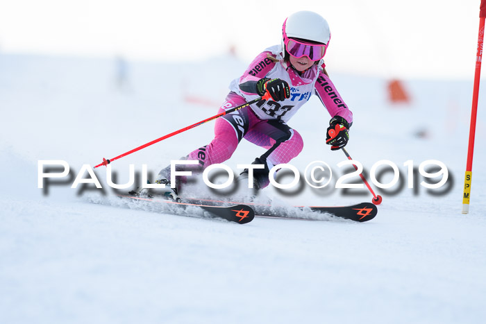 SVM U8, U10, U12, SechzgerPokal 2019