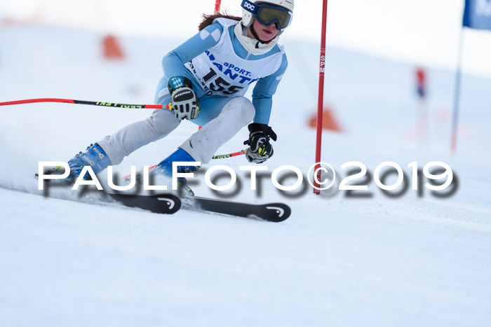 SVM U8, U10, U12, SechzgerPokal 2019