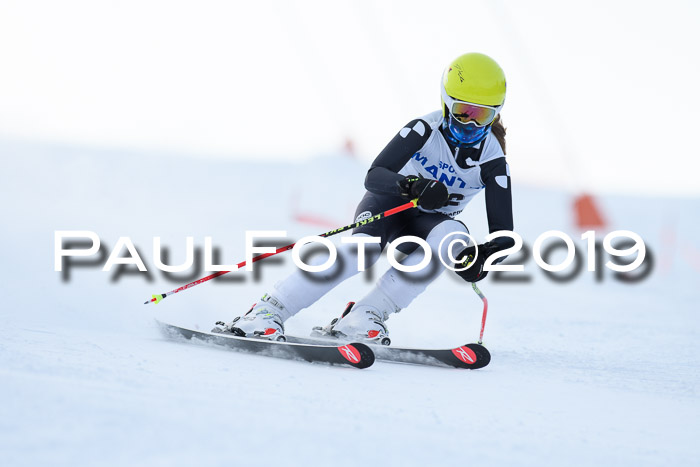 SVM U8, U10, U12, SechzgerPokal 2019