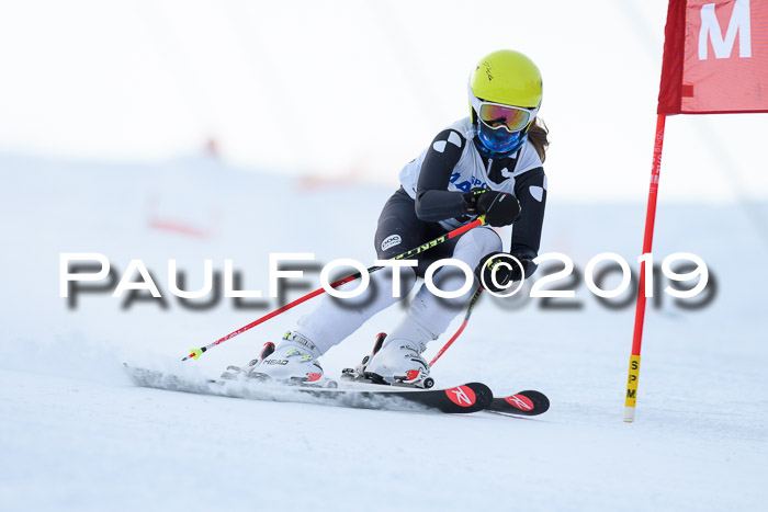 SVM U8, U10, U12, SechzgerPokal 2019