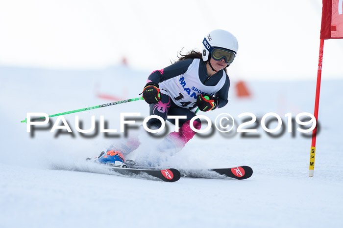 SVM U8, U10, U12, SechzgerPokal 2019