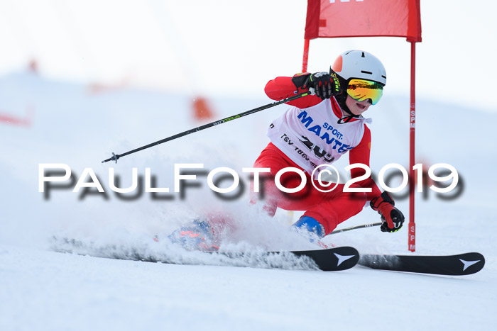 SVM U8, U10, U12, SechzgerPokal 2019