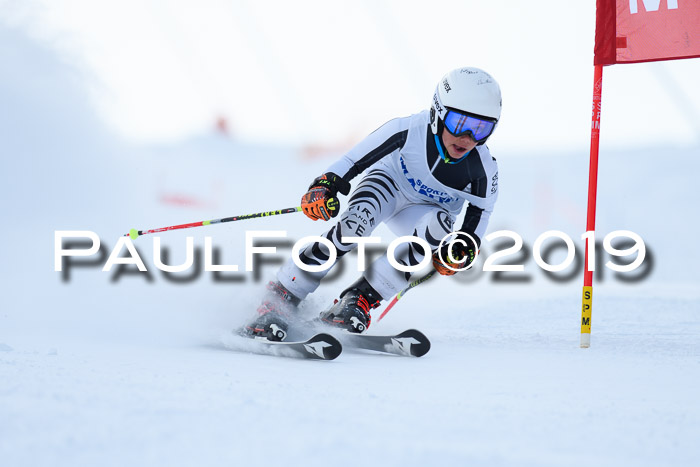 SVM U8, U10, U12, SechzgerPokal 2019