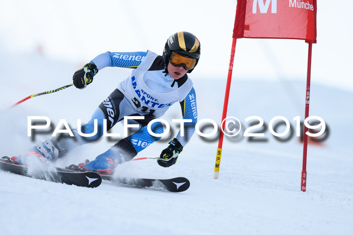 SVM U8, U10, U12, SechzgerPokal 2019