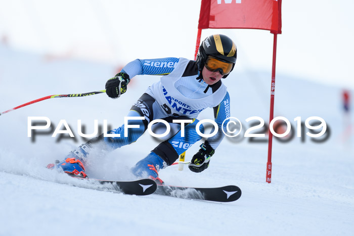 SVM U8, U10, U12, SechzgerPokal 2019