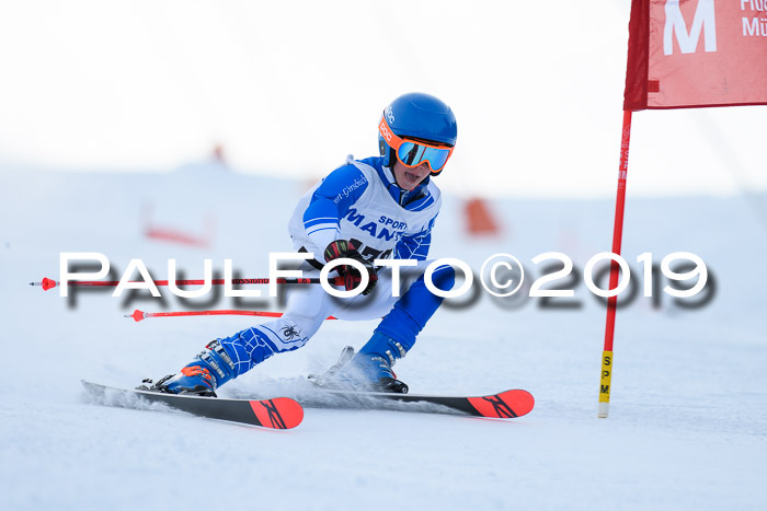 SVM U8, U10, U12, SechzgerPokal 2019