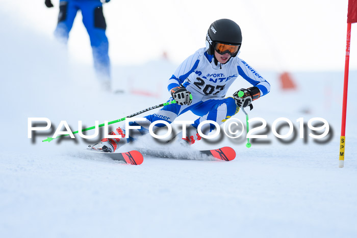 SVM U8, U10, U12, SechzgerPokal 2019