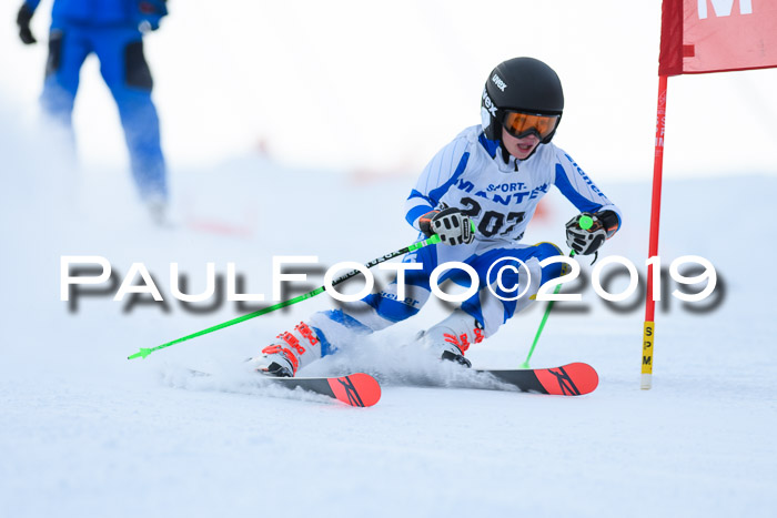 SVM U8, U10, U12, SechzgerPokal 2019