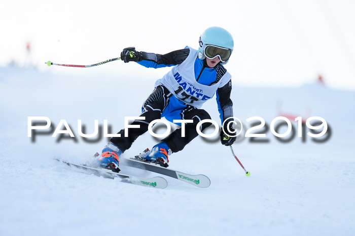 SVM U8, U10, U12, SechzgerPokal 2019