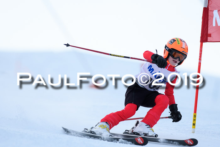 SVM U8, U10, U12, SechzgerPokal 2019